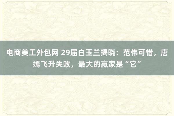 电商美工外包网 29届白玉兰揭晓：范伟可惜，唐嫣飞升失败，最大的赢家是“它”